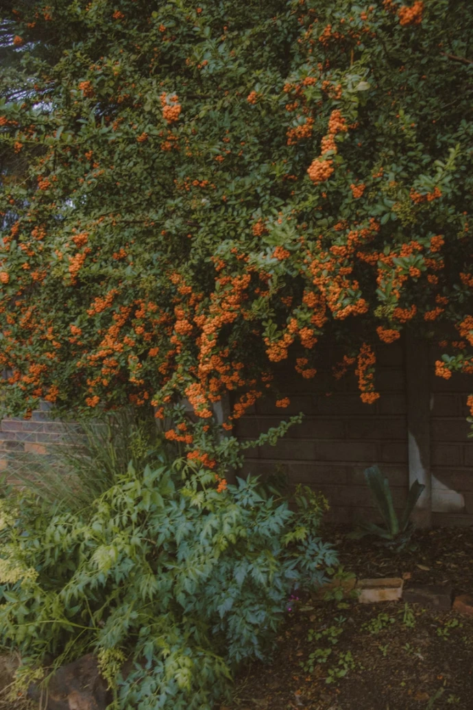 Peaceful memorial setting in nature